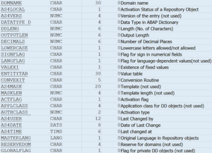 SAP Domain attributes and the description and usage of each